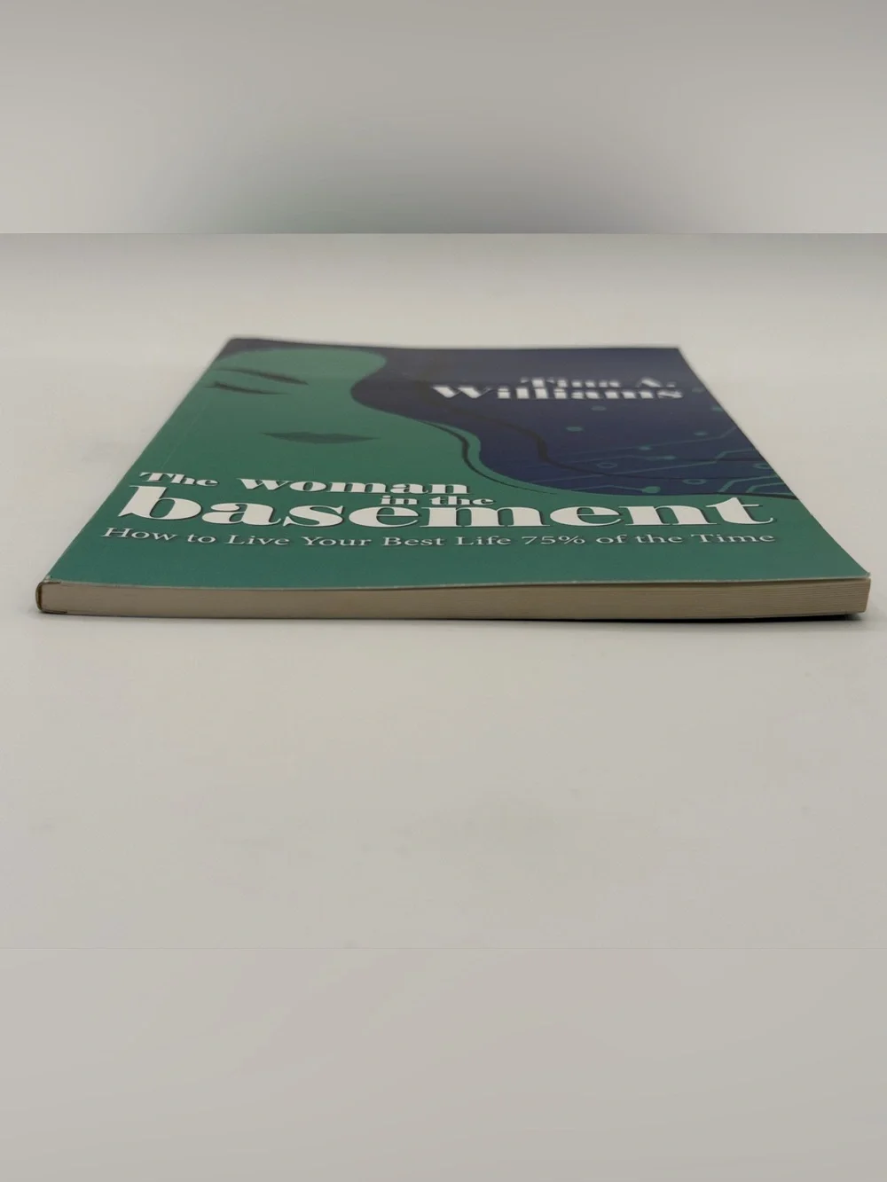 The Woman in the Basement: How to Live Your Best Life by Tina A. Williams PB